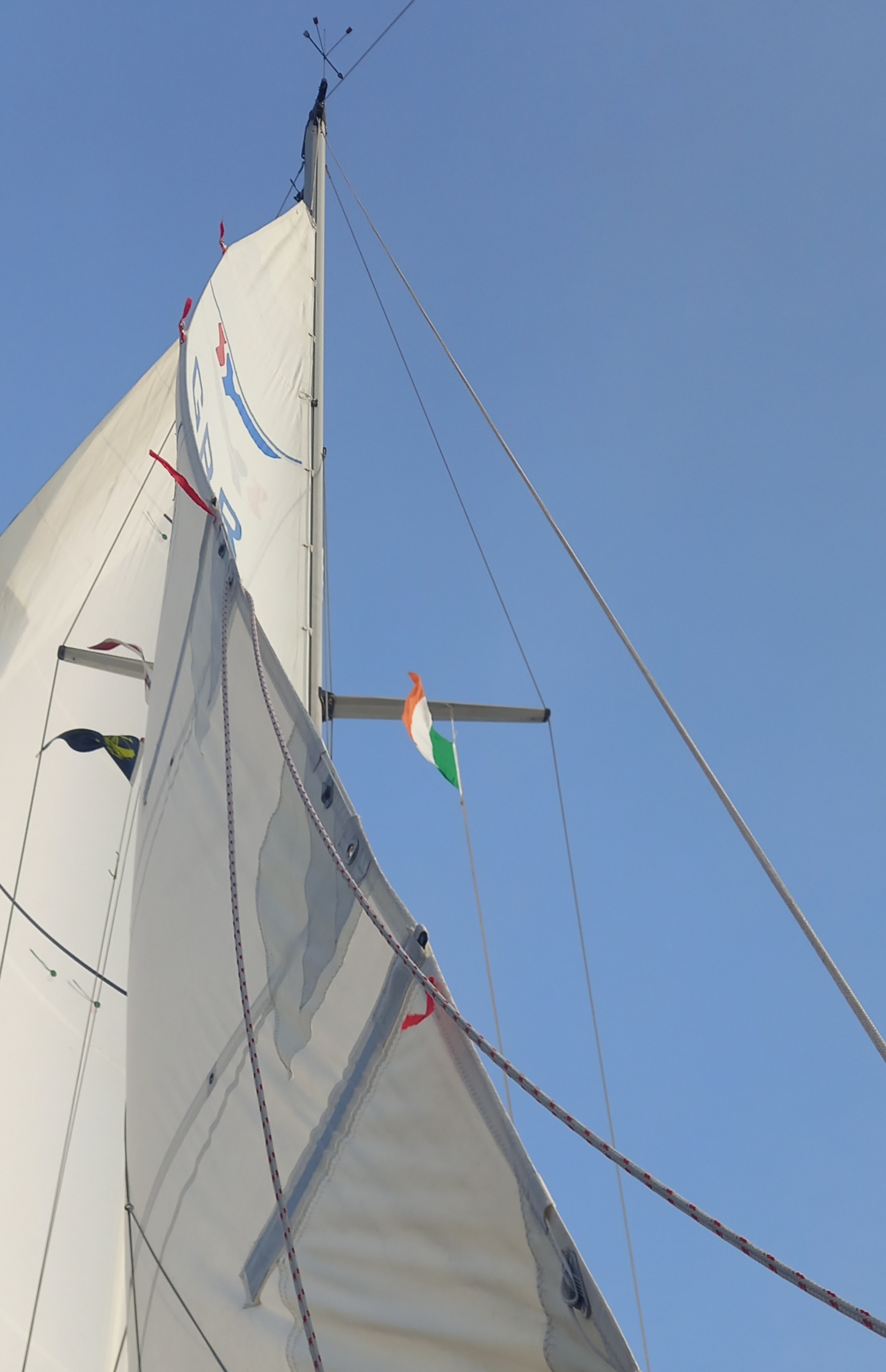 The first mate