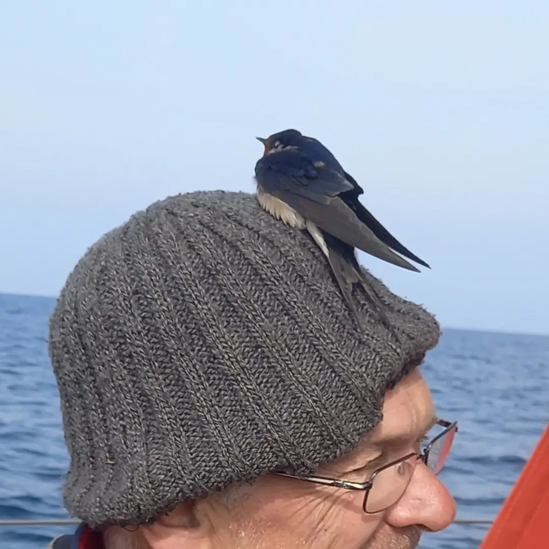 The first mate